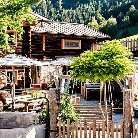 Villa Peakini Farmhaus à Untertauern Extérieur photo
