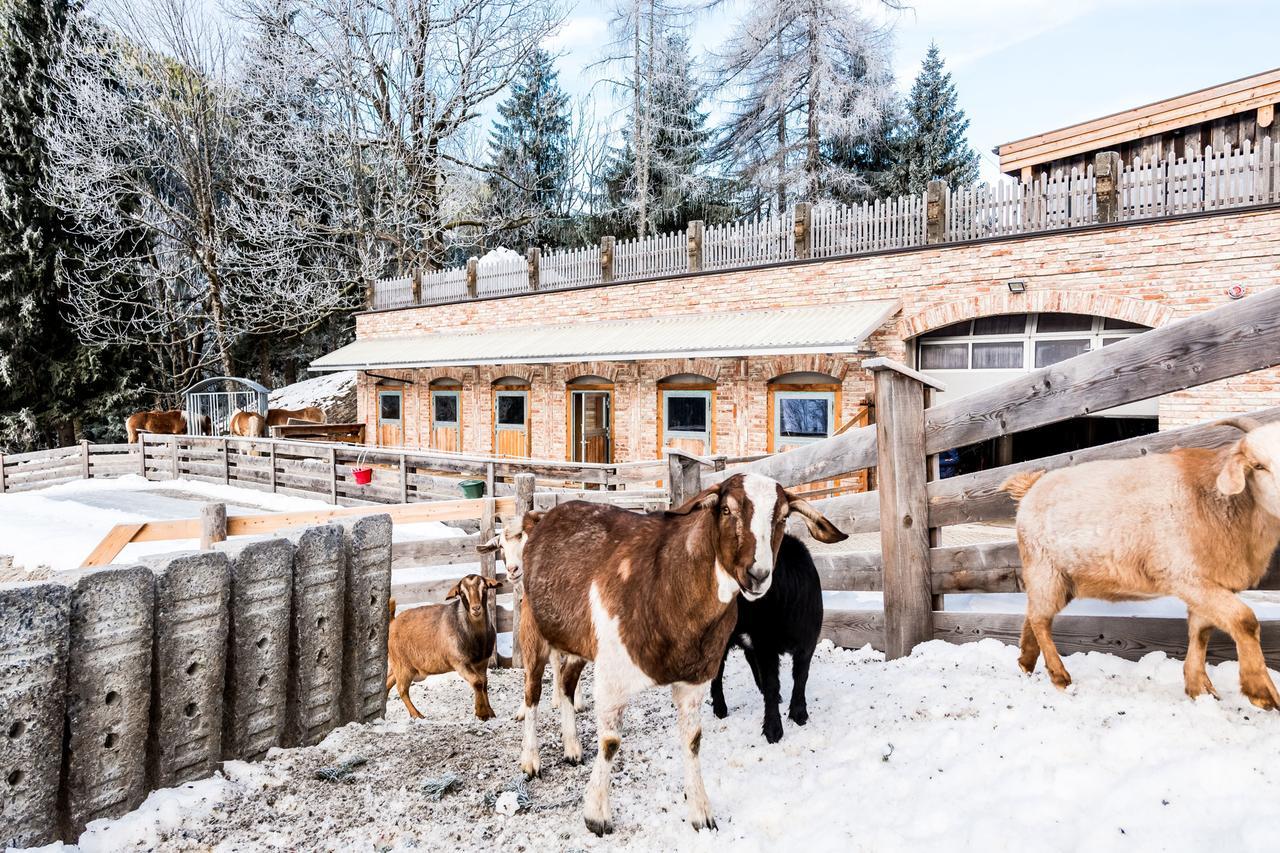 Villa Peakini Farmhaus à Untertauern Extérieur photo