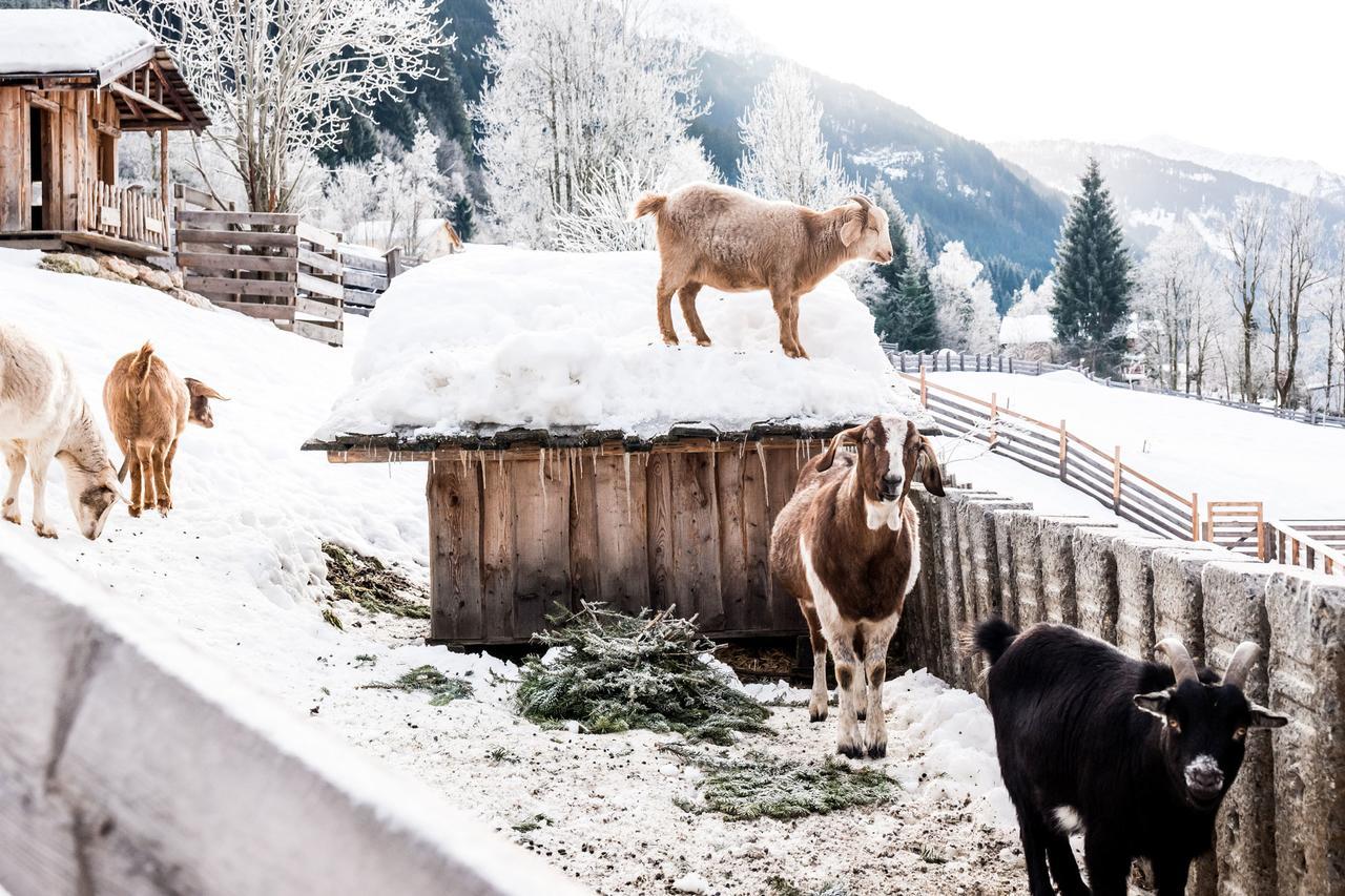 Villa Peakini Farmhaus à Untertauern Extérieur photo