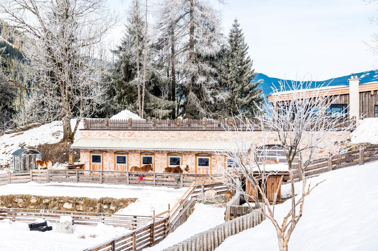 Villa Peakini Farmhaus à Untertauern Extérieur photo